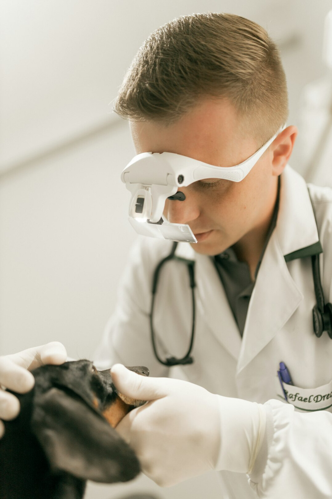 Doctor in a white coat talking with a patient in a bright clinic